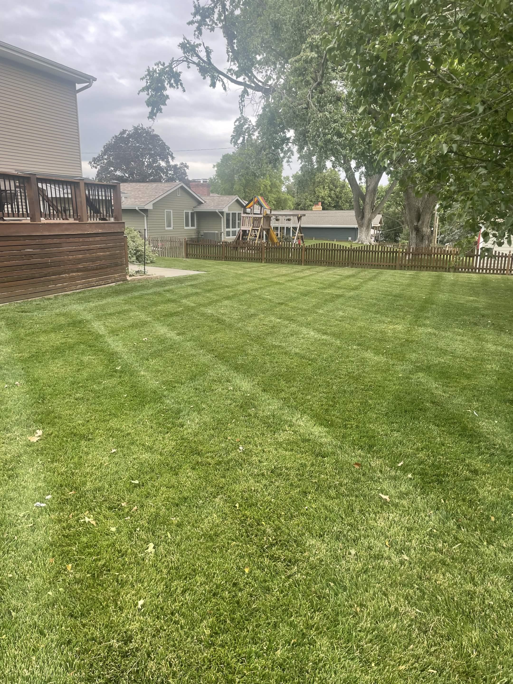 Lawn and landscape work by A&M Lawn Care